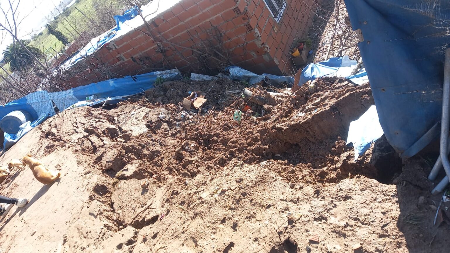 Bajo Cementerio: piden colaboración para construir "un paredón" y evitar el riesgo de derrumbe de una vivienda | FM Avenida