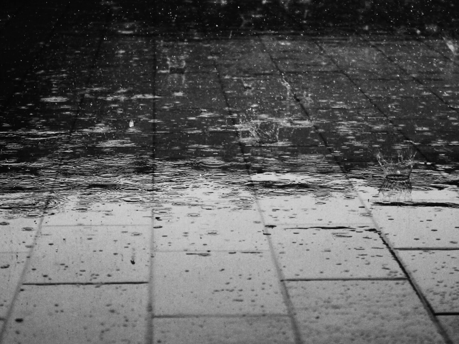 Clima hoy en San José, Costa Rica: el pronóstico del tiempo para este lunes 18 agosto de 2025 | FM Avenida