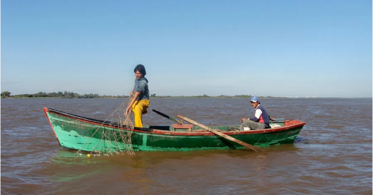 Crearán un registro municipal de pescadores artesanales | FM Avenida