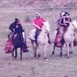 Cuatreros a caballo robaron y faenaron vacas en un campo cercano a Villa Sarita (Video) | FM Avenida