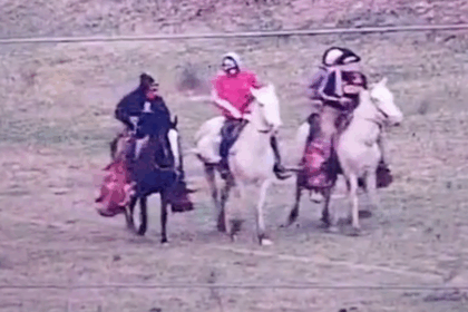 Cuatreros a caballo robaron y faenaron vacas en un campo cercano a Villa Sarita (Video) | FM Avenida