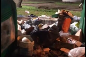Denuncian que los contenedores del Punto Verde de la exterminal son "verdaderos basurales a cielo abierto" | FM Avenida