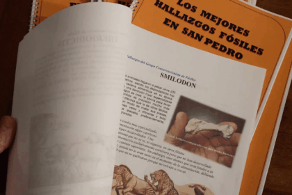 El Museo Paleontológico lanza una guía con los mejores hallazgos fósiles de la zona | FM Avenida