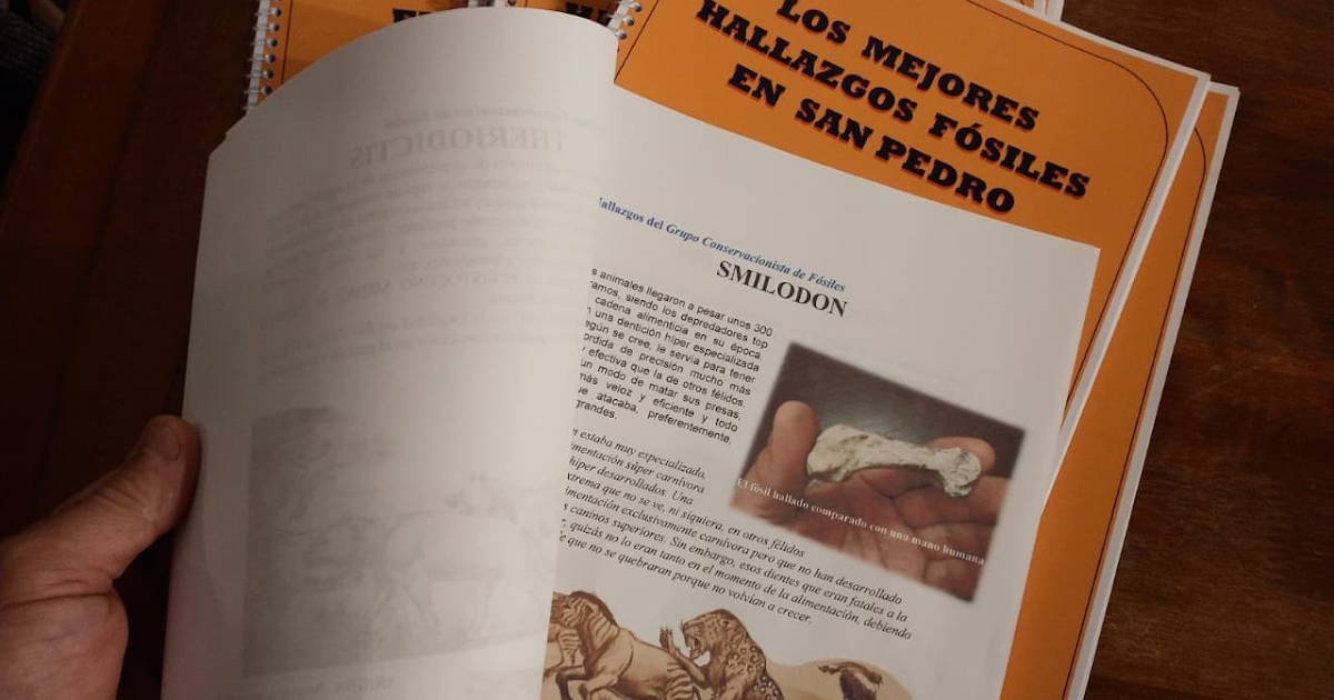 El Museo Paleontológico lanza una guía con los mejores hallazgos fósiles de la zona | FM Avenida