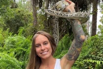 La peligrosa competencia de cazar serpientes en Florida tiene una ganadora: quién es y el suculento premio de miles dólares | FM Avenida