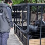 Polémica en Mar del Plata por presunto abandono de animales en el ex Aquarium: tras una inspección, trasladaron a cinco lobos marinos | FM Avenida