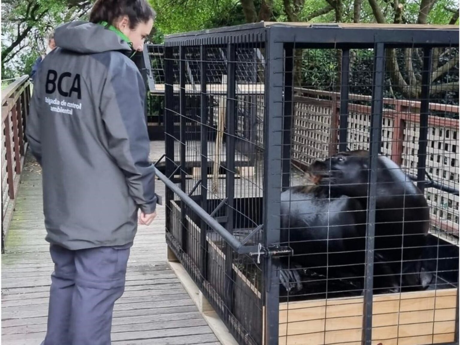 Polémica en Mar del Plata por presunto abandono de animales en el ex Aquarium: tras una inspección, trasladaron a cinco lobos marinos | FM Avenida