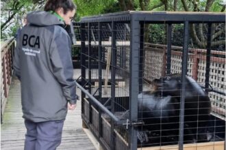 Polémica en Mar del Plata por presunto abandono de animales en el ex Aquarium: tras una inspección, trasladaron a cinco lobos marinos | FM Avenida