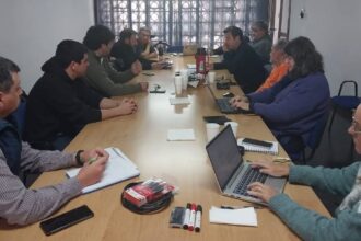 Reunión interinstitucional para coordinar acciones ante la detección del vector del HLB en San Pedro | FM Avenida
