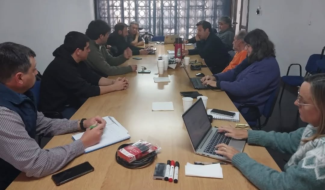 Reunión interinstitucional para coordinar acciones ante la detección del vector del HLB en San Pedro | FM Avenida