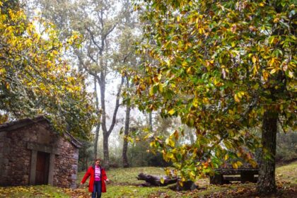 Ruta de senderismo en Salamanca rodeada de acebos y castaños que encanta a los amantes de la naturaleza | FM Avenida