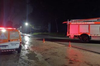 Temporal: Una rama de ocho metros cayó en la avenida principal de Sierra de los Padres y provocó un choque | FM Avenida