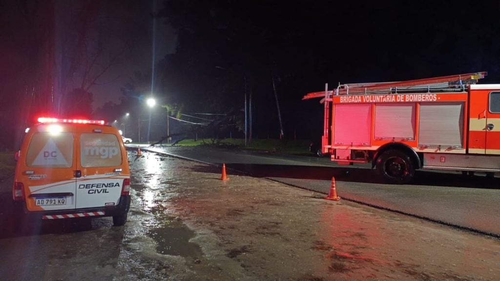 Temporal: Una rama de ocho metros cayó en la avenida principal de Sierra de los Padres y provocó un choque | FM Avenida