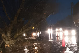 Temporal de lluvia: Defensa Civil recorre los barrios y mantiene guardias preventivas | FM Avenida