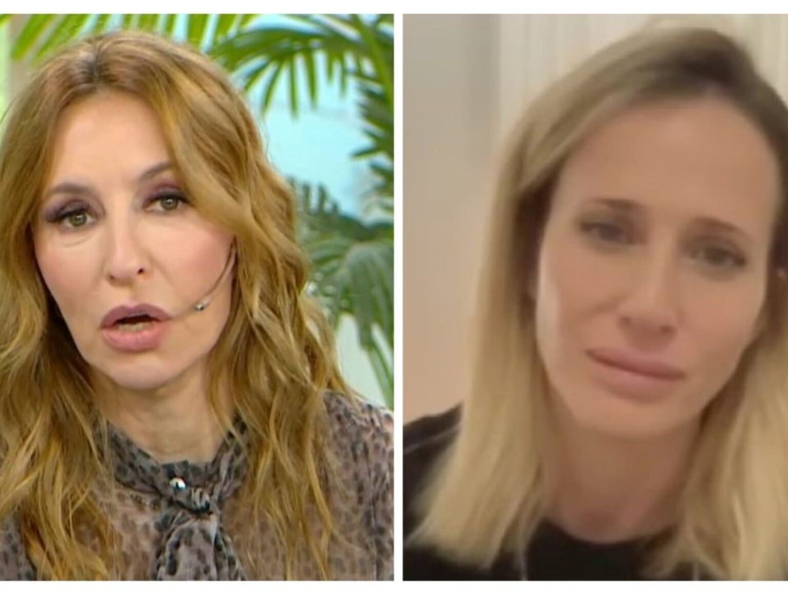 Tras el cruce, Analía Franchín le pidió disculpas a Julieta Prandi y explicó por qué le hizo la pregunta que la incomodó | FM Avenida