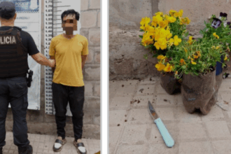 Detienen a un hombre por robar plantas de un cantero | FM Avenida