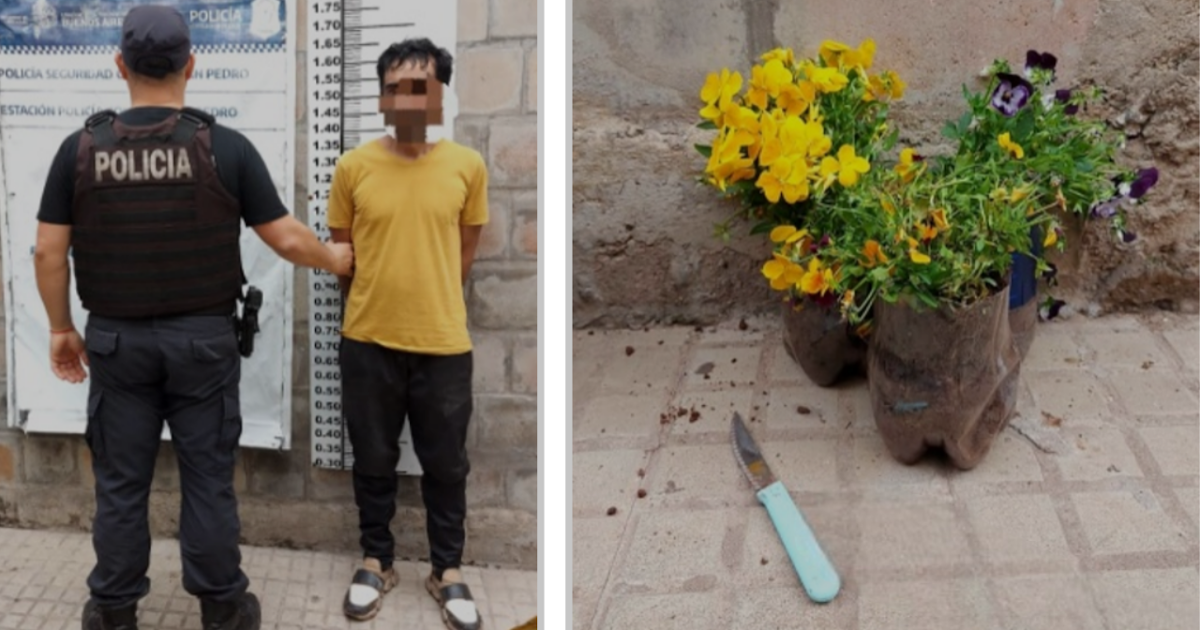 Detienen a un hombre por robar plantas de un cantero | FM Avenida