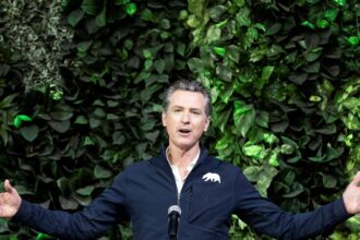 Su legado familiar: ¿tiene hijos Gavin Newsom? | FM Avenida
