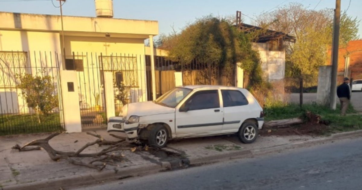 Un auto chocó contra un árbol pero no hubo heridos | FM Avenida