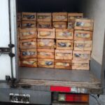 El camión de pollos secuestrado cumplía con los requisitos y no hubo que decomisar la mercadería | FM Avenida