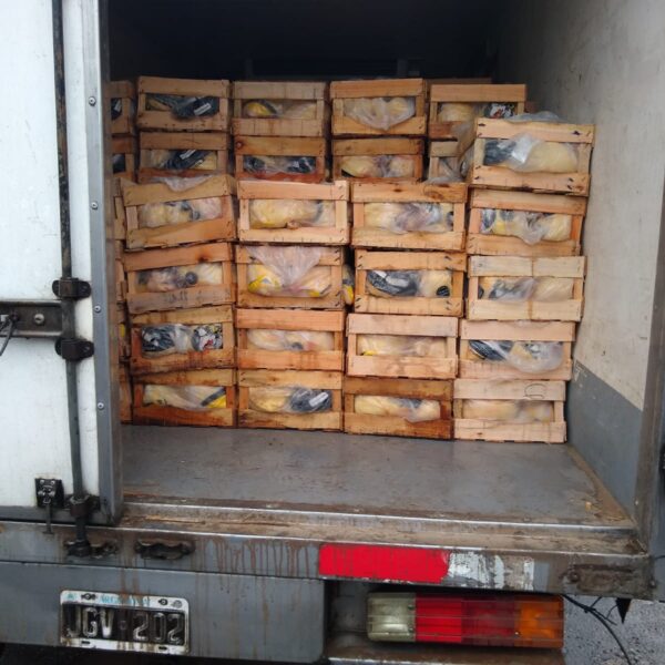 El camión de pollos secuestrado cumplía con los requisitos y no hubo que decomisar la mercadería | FM Avenida