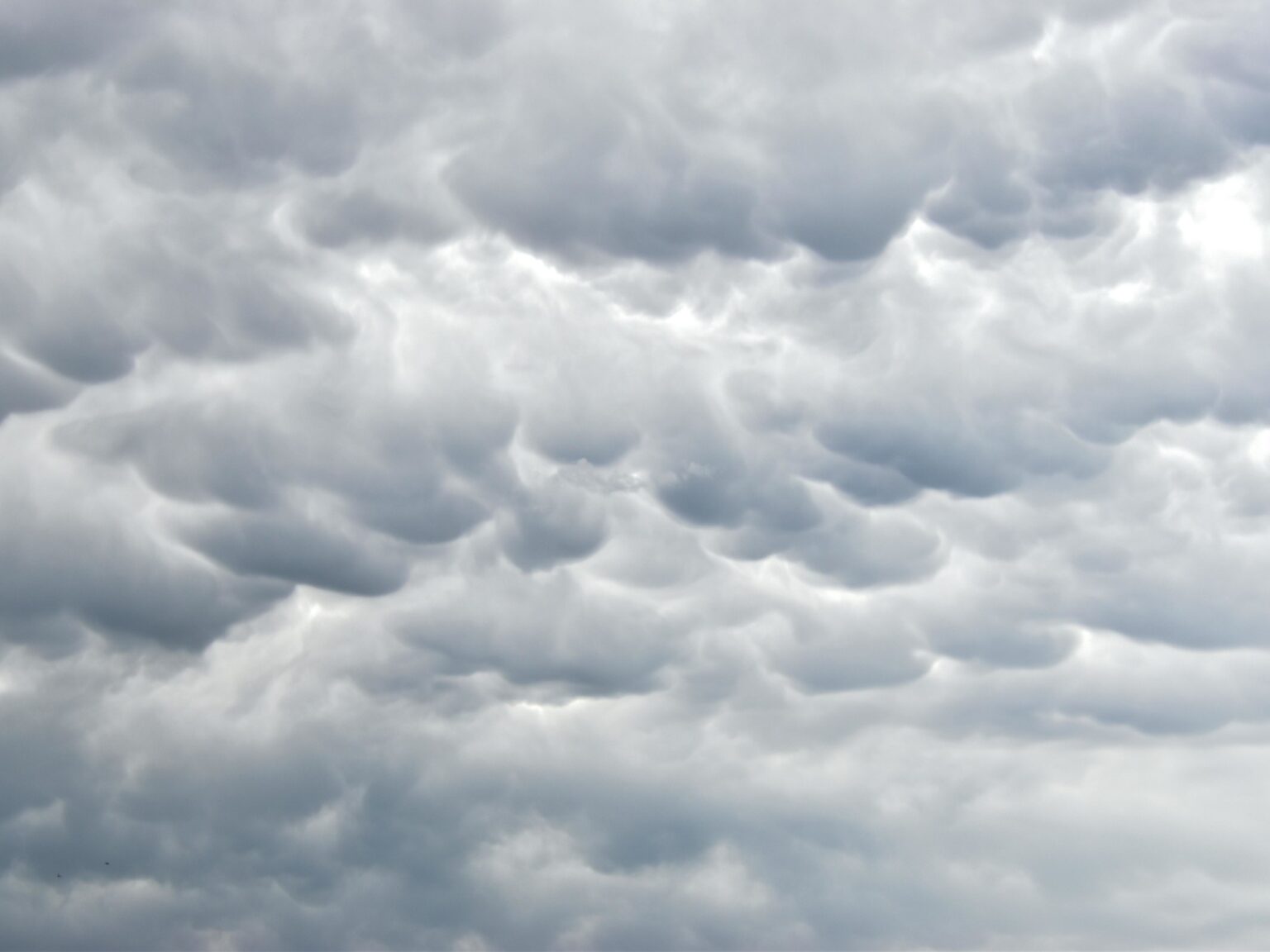 Clima hoy en Tucson, Estados Unidos: el pronóstico del tiempo para este lunes 22 diciembre de 2025 | FM Avenida