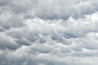 Clima hoy en Tucson, Estados Unidos: el pronóstico del tiempo para este lunes 22 diciembre de 2025 | FM Avenida