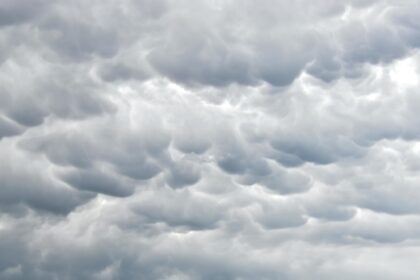 Clima hoy en Tucson, Estados Unidos: el pronóstico del tiempo para este lunes 22 diciembre de 2025 | FM Avenida