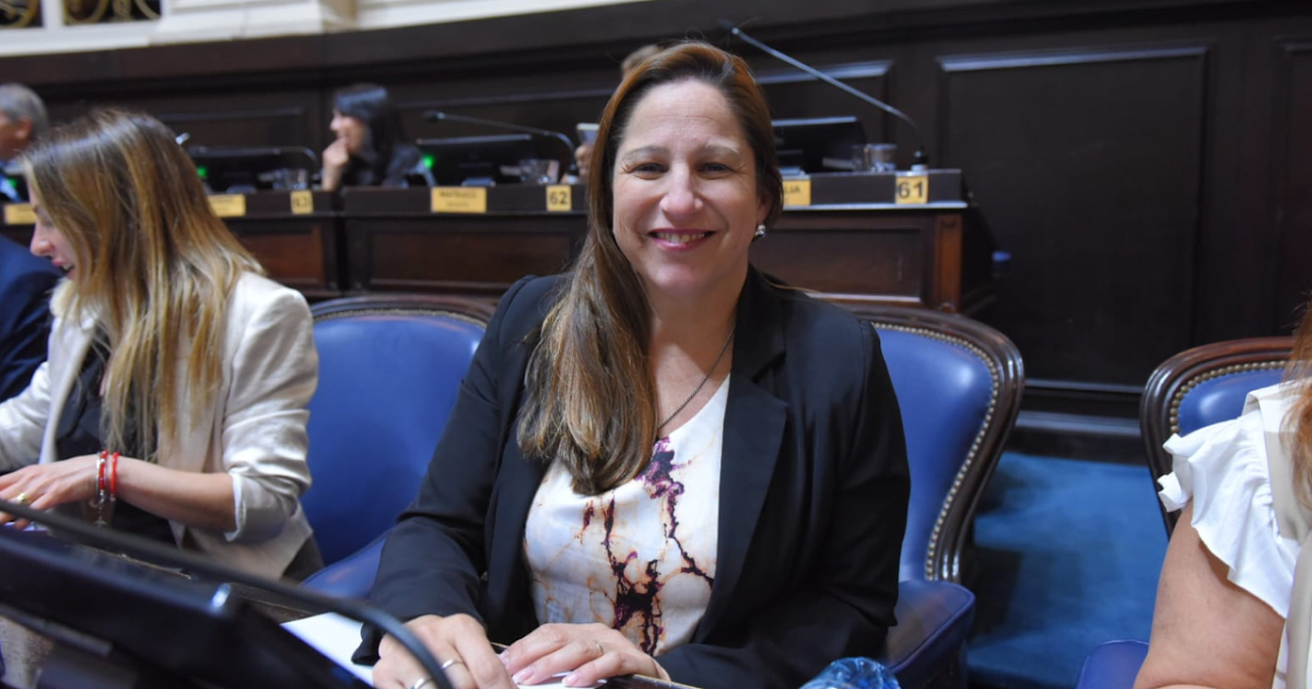 Analía Corvino participó de su primera sesión en la Cámara de Diputados | FM Avenida