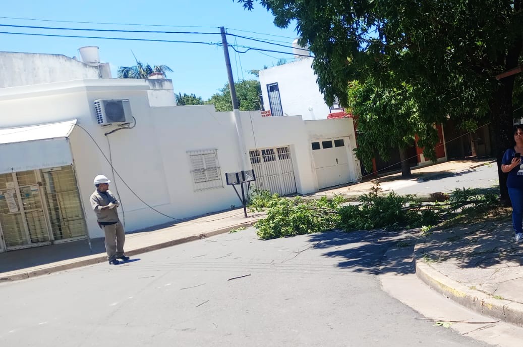 Camión enganchó cables y tiró postes en Salta y Colón: se dio a la fuga y lo interceptaron | FM Avenida