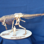 Concurso del Museo Paleontológico para buscar el ejemplar más pequeño | FM Avenida