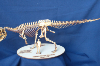 Concurso del Museo Paleontológico para buscar el ejemplar más pequeño | FM Avenida