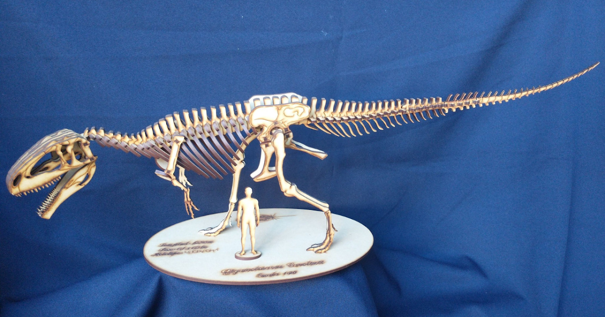 Concurso del Museo Paleontológico para buscar el ejemplar más pequeño | FM Avenida