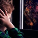 Familias TEA presentaron una nota ante el HCD por Incumplimiento de la ordenanza de prohibición de pirotecnia | FM Avenida