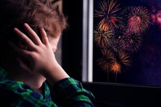 Familias TEA presentaron una nota ante el HCD por Incumplimiento de la ordenanza de prohibición de pirotecnia | FM Avenida