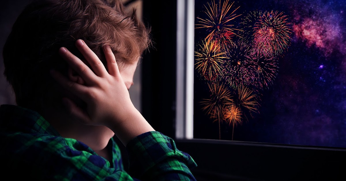 Familias TEA presentaron una nota ante el HCD por Incumplimiento de la ordenanza de prohibición de pirotecnia | FM Avenida