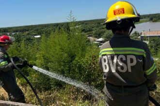 Incendio de pastizales en la barranca: Bomberos controló un foco de importante magnitud | FM Avenida