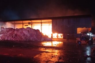Incendio en la fábrica Celupaper: estiman que demandará varias horas combatir el siniestro | FM Avenida