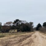 La Sociedad Rural cuestionó el aumento de tasas: aseguraron que son quienes están "pagando la fiesta" | FM Avenida