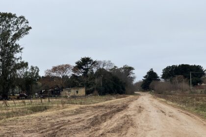 La Sociedad Rural cuestionó el aumento de tasas: aseguraron que son quienes están "pagando la fiesta" | FM Avenida
