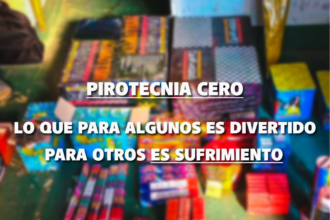Pirotecnia cero: el jefe de Bomberos pidió conciencia para evitar incendios y daños irreversibles | FM Avenida
