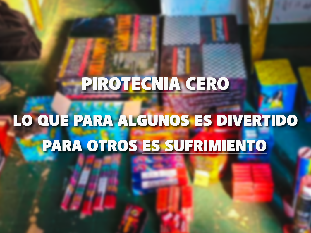 Pirotecnia cero: el jefe de Bomberos pidió conciencia para evitar incendios y daños irreversibles | FM Avenida