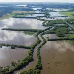 Provincia prorrogó la emergencia agropecuaria en 5 distritos: Además, eximen del Inmobiliario Rural a Bahía Blanca | FM Avenida