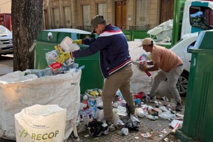 Retiran Puntos Verdes tras hallar animales muertos y restos de obra entre los residuos reciclables | FM Avenida