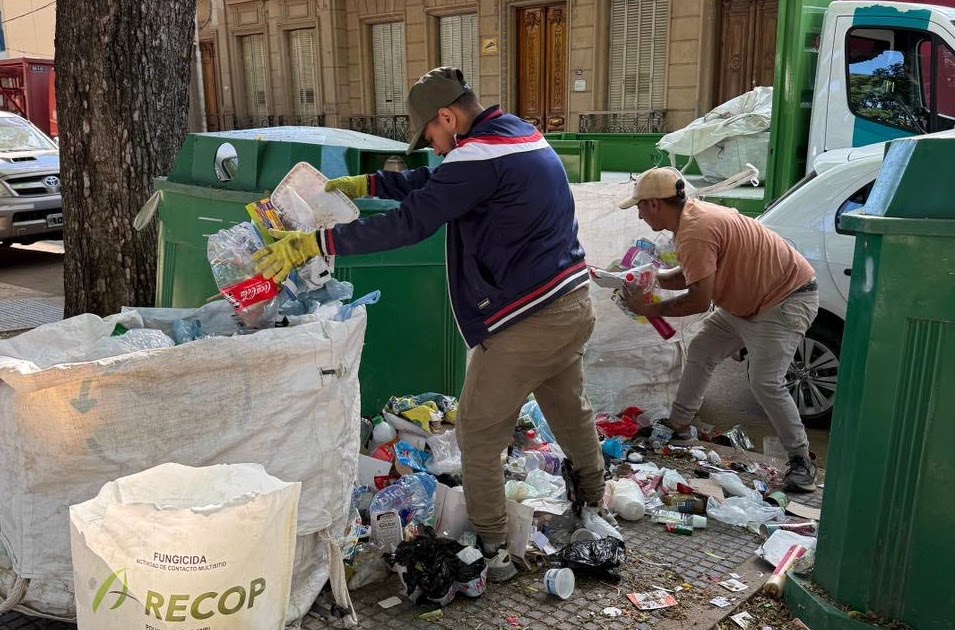 Retiran Puntos Verdes tras hallar animales muertos y restos de obra entre los residuos reciclables | FM Avenida