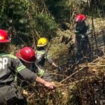 Riesgo extremo de incendios forestales y pastizales: San Pedro bajo alerta | FM Avenida