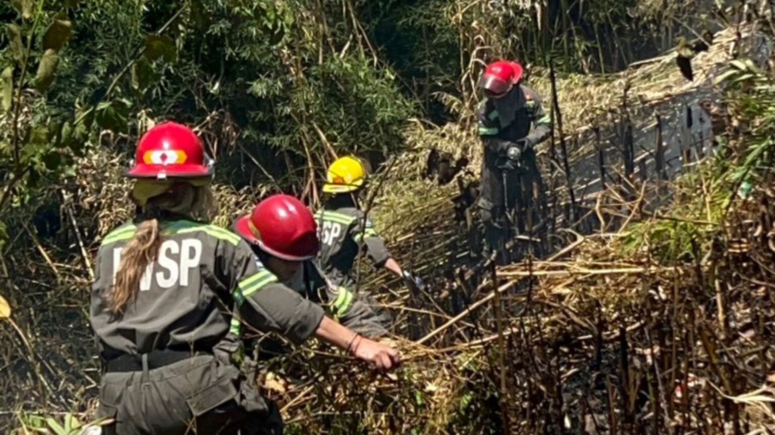 Riesgo extremo de incendios forestales y pastizales: San Pedro bajo alerta | FM Avenida