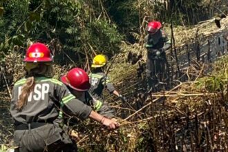 Riesgo extremo de incendios forestales y pastizales: San Pedro bajo alerta | FM Avenida