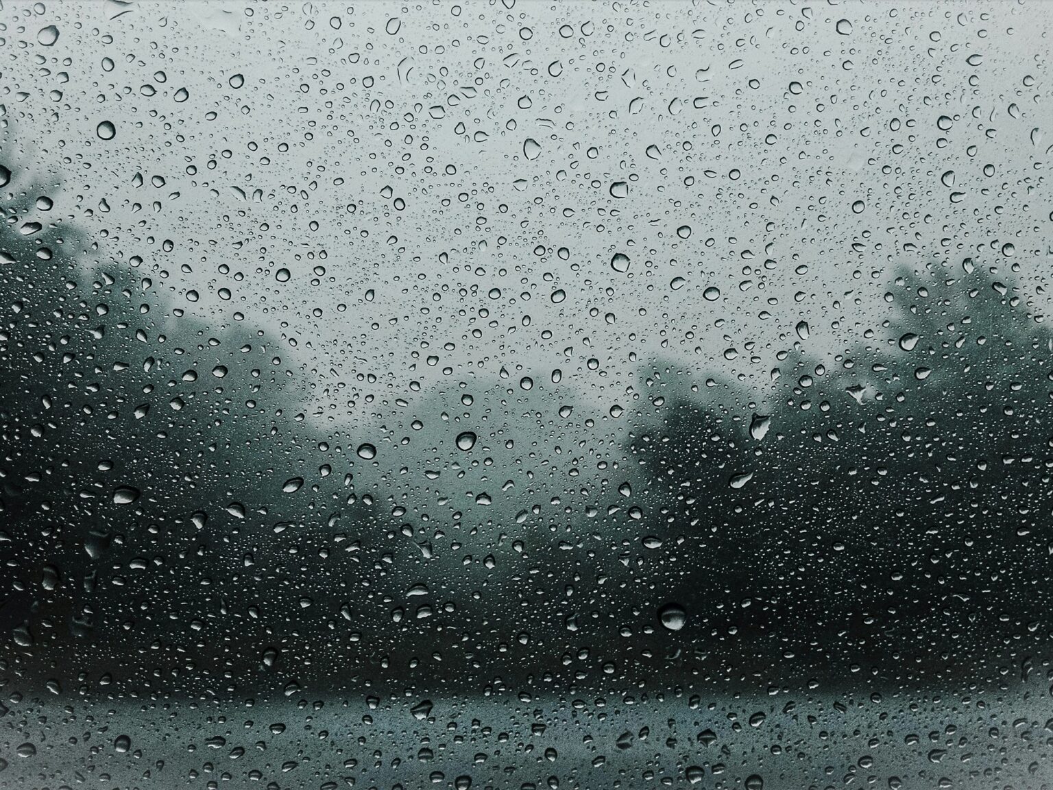 Clima hoy en Punta Lara, Buenos Aires: el pronóstico del tiempo para este miércoles 7 enero de 2026 | FM Avenida