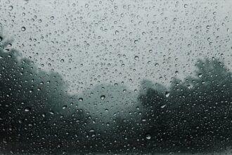 Clima hoy en Punta Lara, Buenos Aires: el pronóstico del tiempo para este miércoles 7 enero de 2026 | FM Avenida